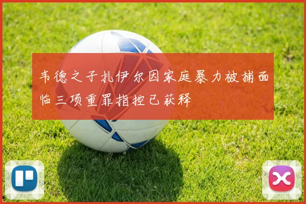 韦德之子扎伊尔因家庭暴力被捕面临三项重罪指控已获释